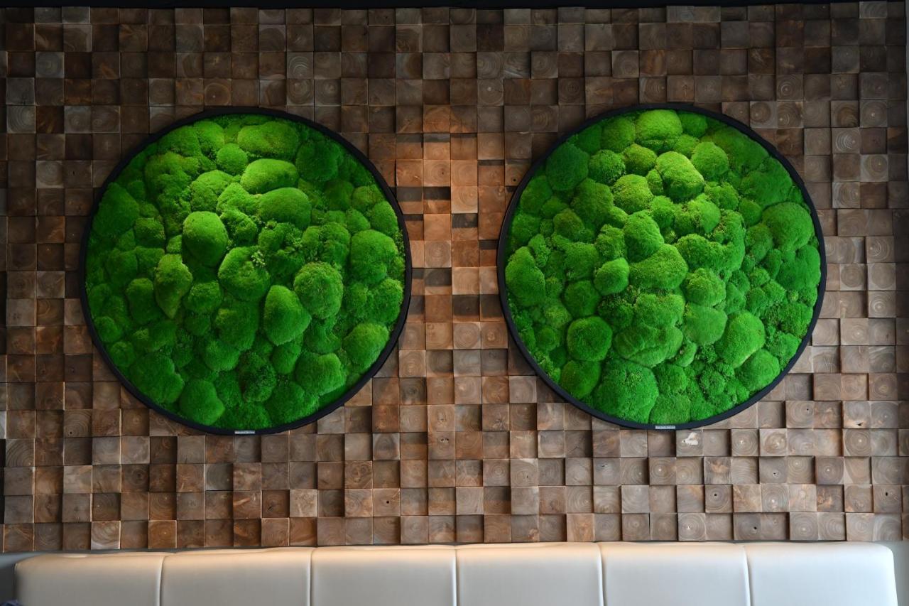 In Situ Hotel Valenciennes Dış mekan fotoğraf